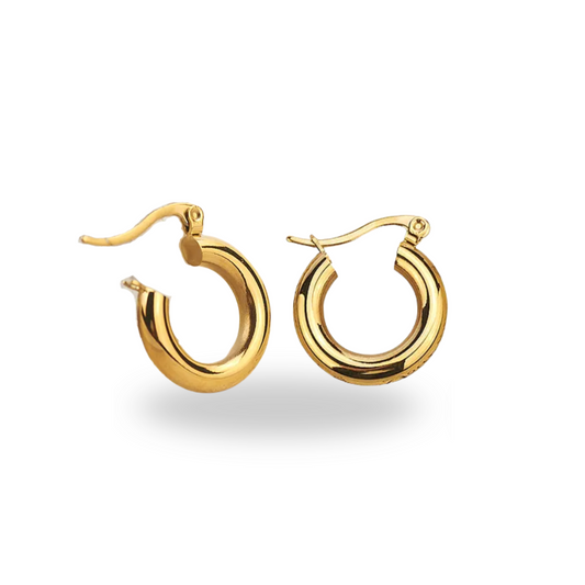 She's A Classic Hoop